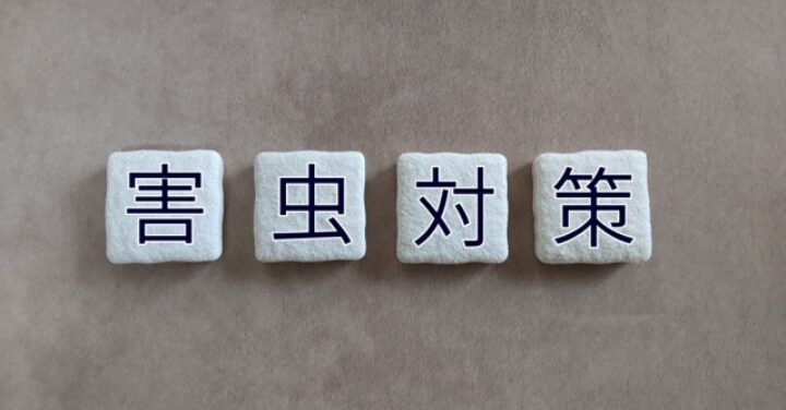 厨房ゴキブリだらけ