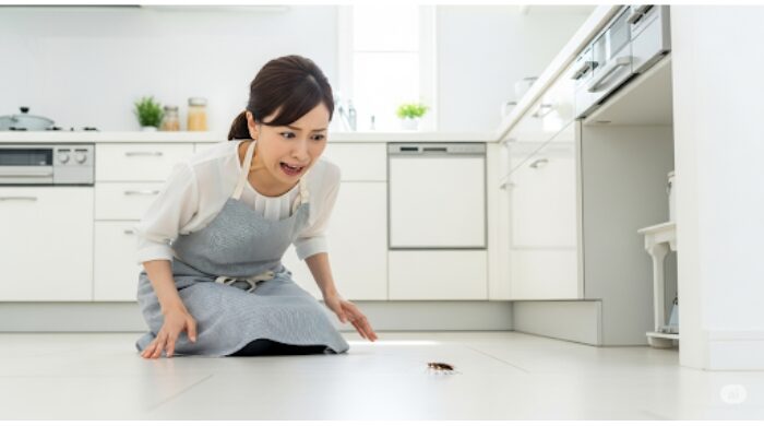 ゴキブリはなぜ気持ち悪い